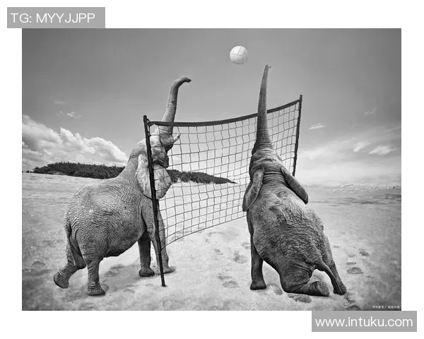 极限运动新手必读：从意识到技巧的全面入门指南