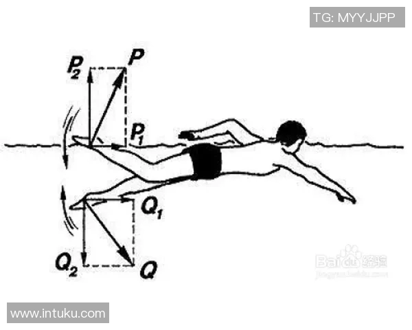 自由泳技巧提升指南：从基础动作到高级训练方法全解析