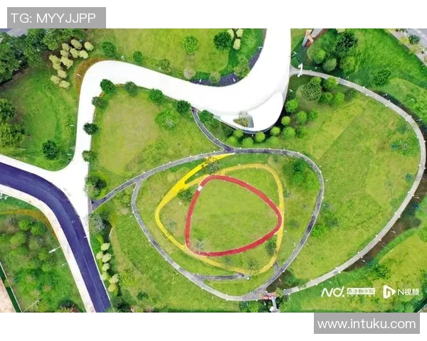 广州飞盘队耐力表现数据分析揭示运动员训练与比赛的潜在影响因素