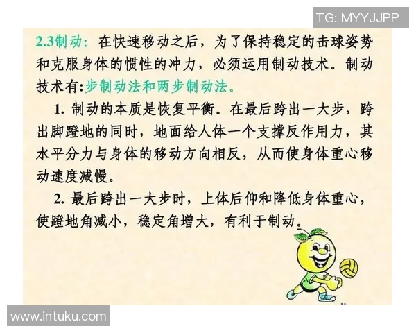 杭州排球队的转换打法深度分析与战术解读